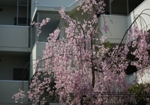 四季01