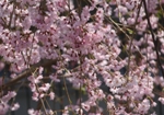 四季02