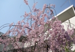 四季03