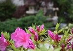 四季09