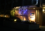 イベント＆デコレーションとその他14